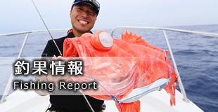 釣果情報