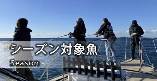 シーズン対象魚